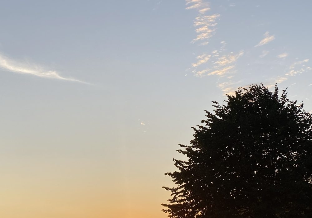 2616636A-EA02-42ED-8F41-EB38913EB7DF_25945897438850.jpg